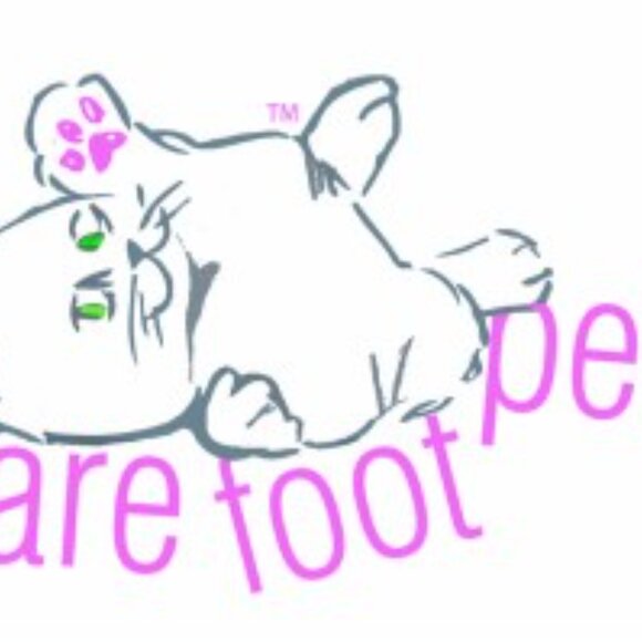 BAREFOOTPETS(tm) NEW! Pet Safety Lead BLACK - Picture 4 of 5